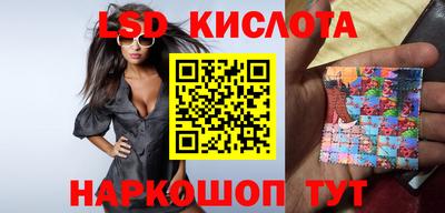 индика Кингисепп