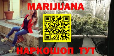 индика Кингисепп