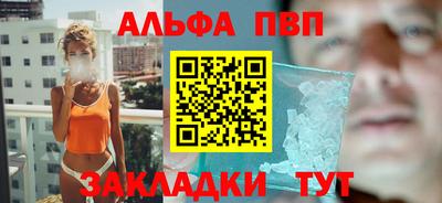 индика Кингисепп