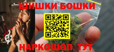 индика Кингисепп