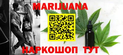 индика Кингисепп