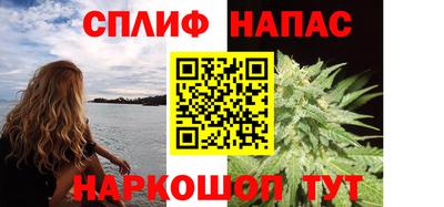 индика Кингисепп