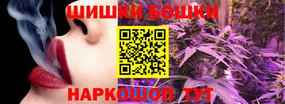 индика Кингисепп