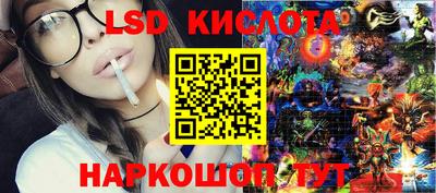 индика Кингисепп