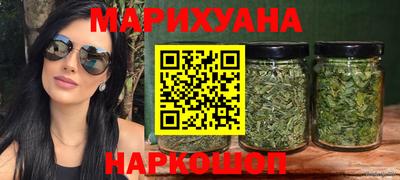 индика Кингисепп
