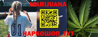 индика Кингисепп