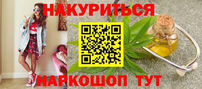 индика Кингисепп