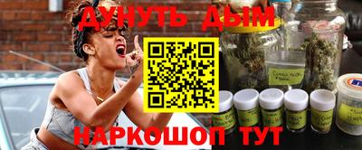индика Кингисепп