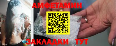 индика Кингисепп